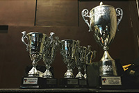 転職支援実績イメージ図